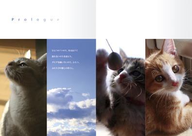 本文レイアウト