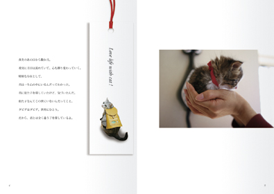 本文レイアウト