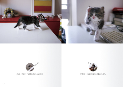 本文レイアウト