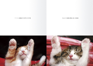 本文レイアウト