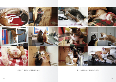 本文レイアウト