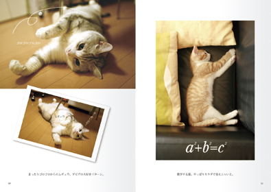 本文レイアウト