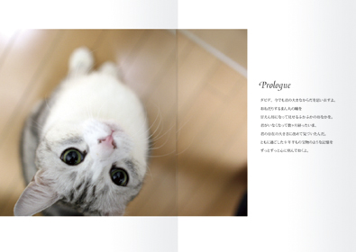 本文レイアウト