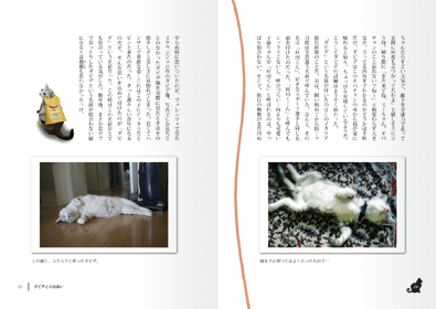 本文レイアウト