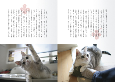 本文レイアウト