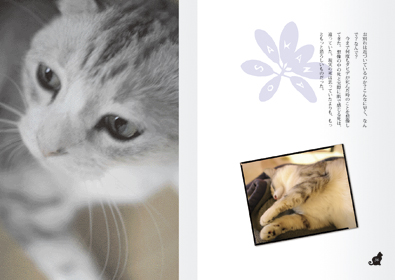 本文レイアウト