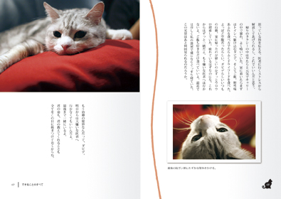 本文レイアウト