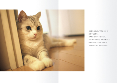 本文レイアウト