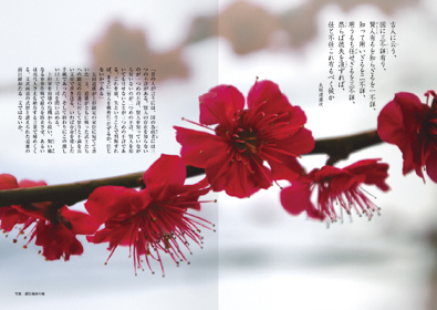 本文レイアウト